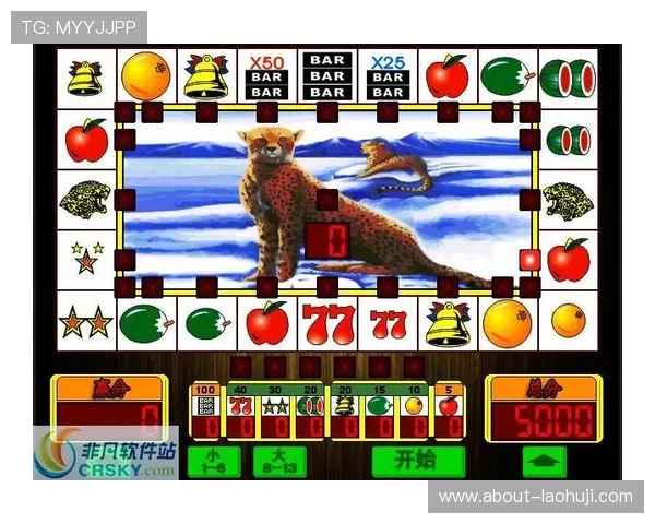 如何玩转游戏机老虎机让游戏体验更加丰富多彩的实用技巧 如何玩转游戏机老虎机让游戏体验更加丰富多彩的实用技巧